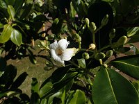 �v�A�E�P�j�P�j